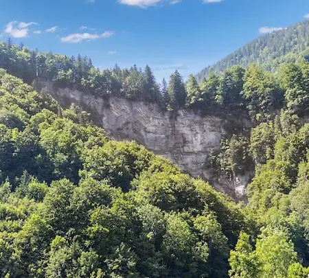 Neues Wood Design Im Herzen Des Bregenzerwalds Apartamento